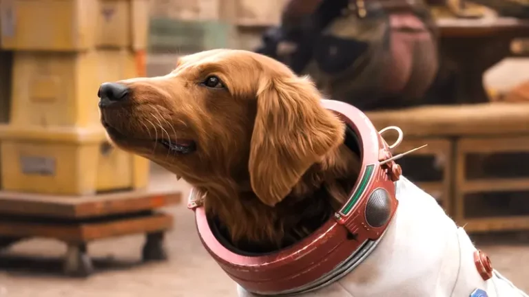 MCU Avengers & Guardians 3 links discovered by Cosmo the Dog