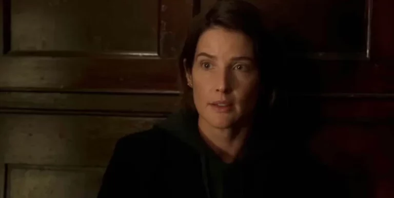 Cobie Smulders discusses her favourite Maria Hill scene from the MCU in Secret Invasion.